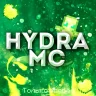 Анархническая сборка проекта HydraMC